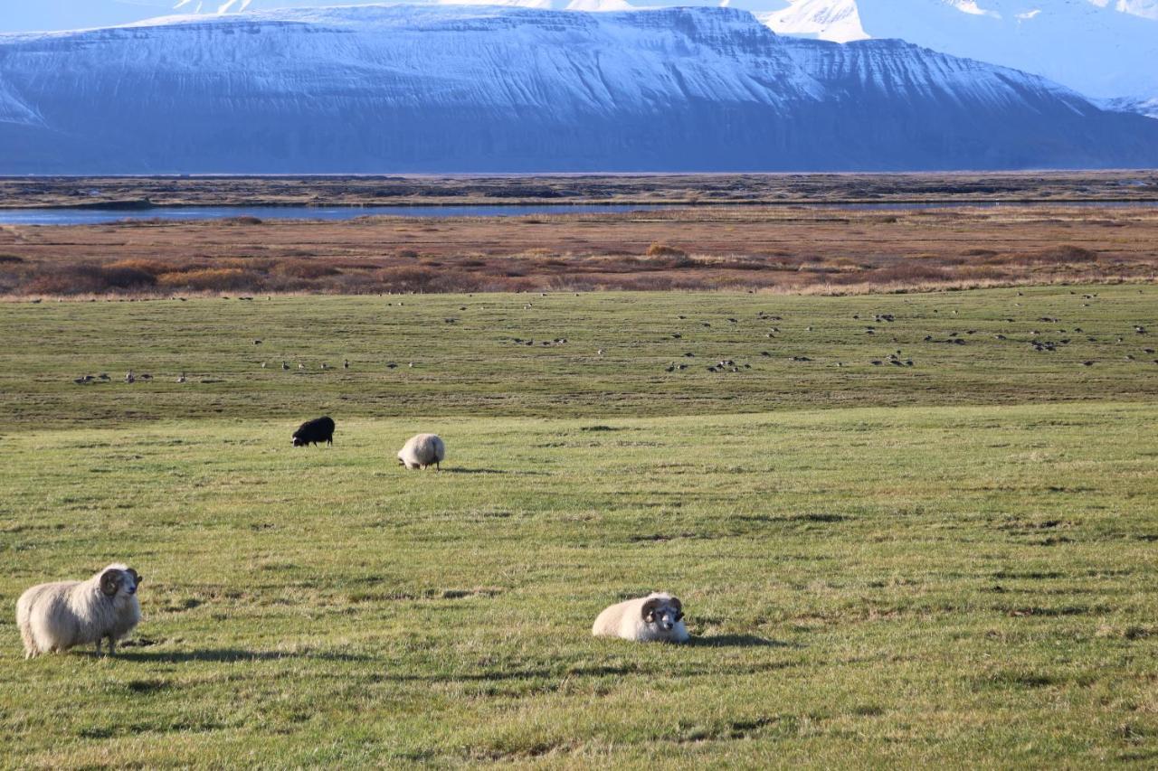 Laxhús Villa Husavik Ngoại thất bức ảnh